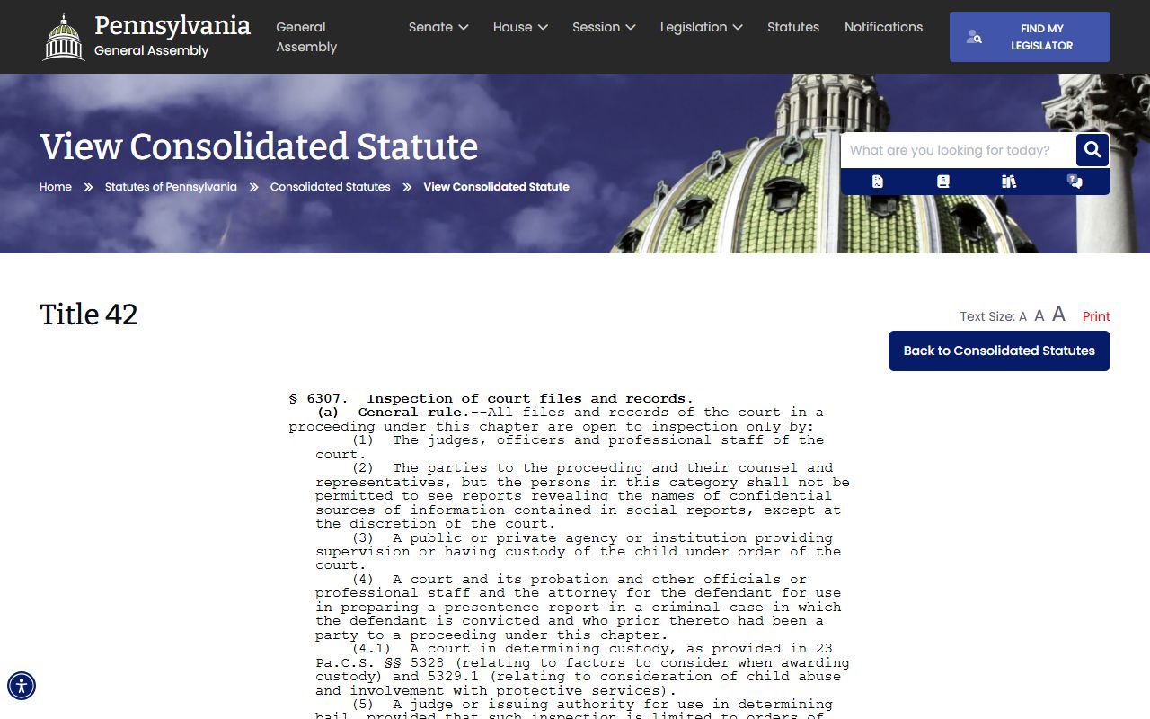 Beaver County court records juvenile file inspection statute